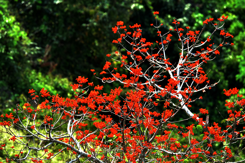 微信圖片_20200507182117