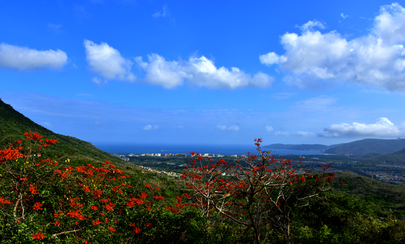 微信圖片_20200507181947