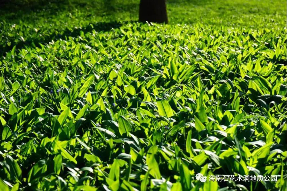 微信圖片_20200831094445 微信圖片_20200831094445