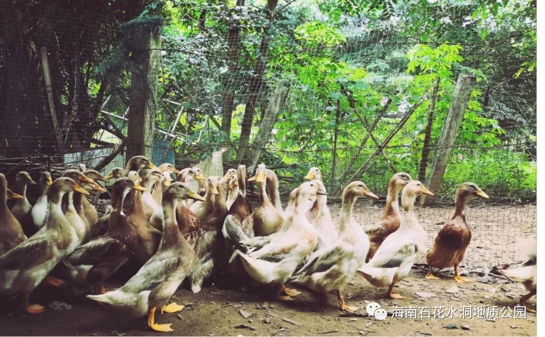 微信圖片_20200831094449 微信圖片_20200831094449