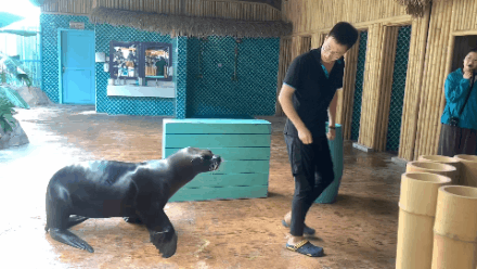 微信圖片_20200926151818