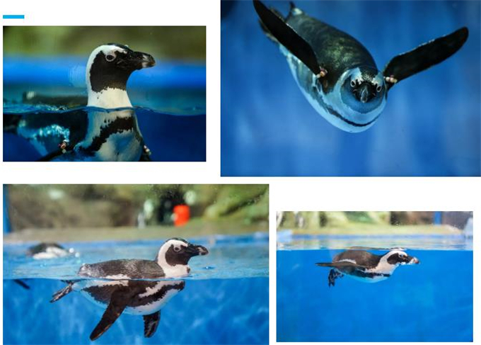 微信截圖_20200930184053