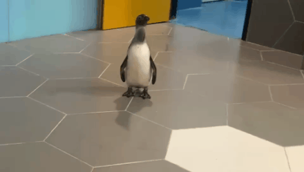 微信圖片_20200930183855