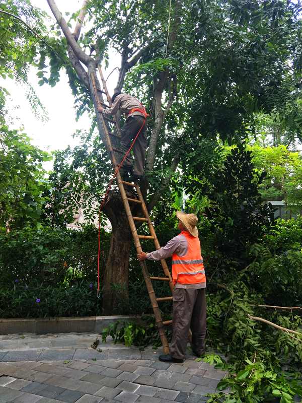 微信圖片_20201013162416