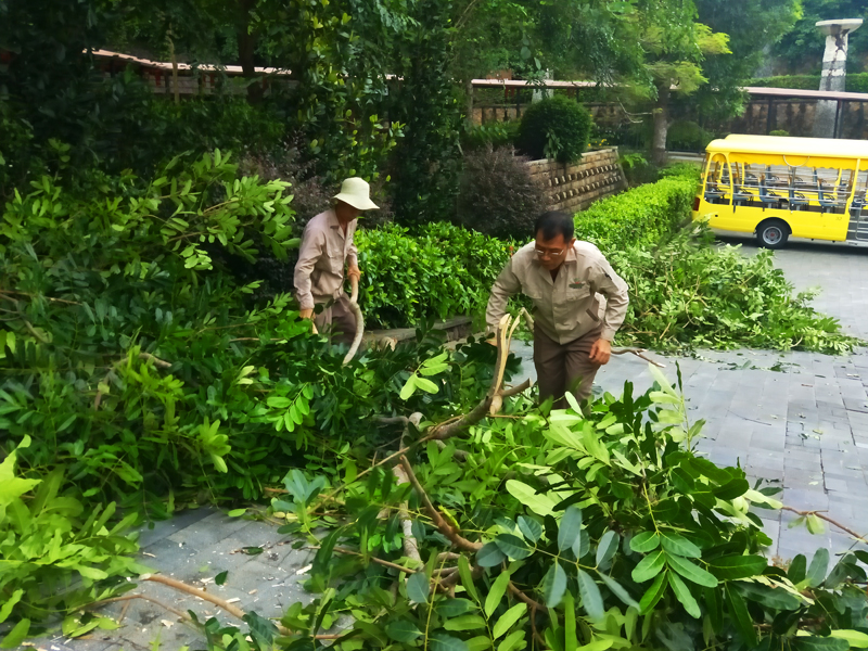 微信圖片_20201013162404