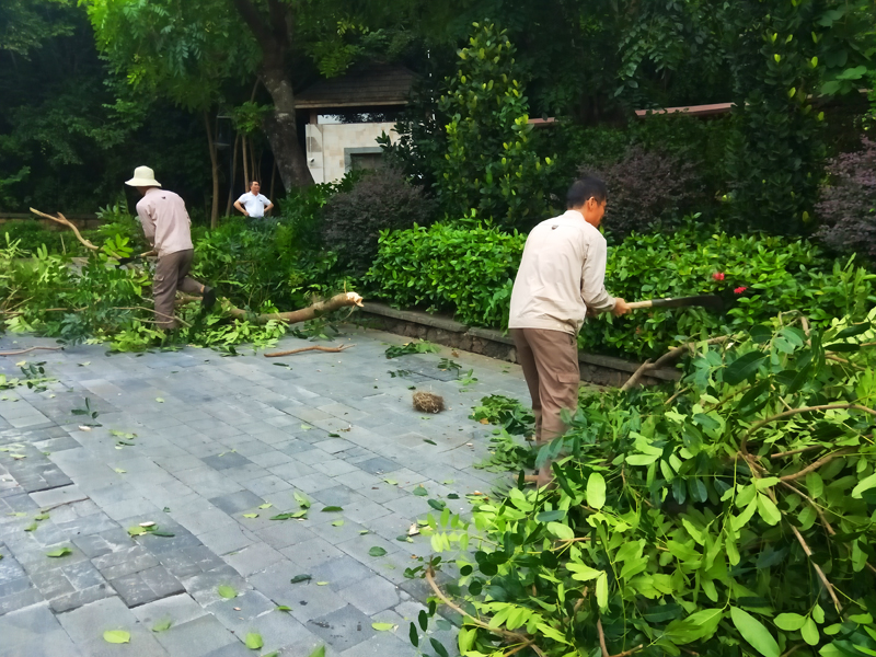 微信圖片_20201013162428