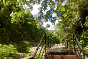 微信圖片_20201102222416