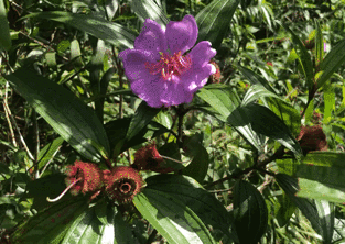 微信圖片_20201102222425