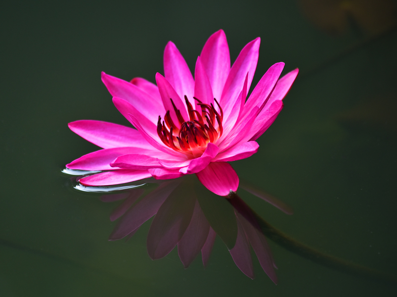 微信圖片_20201212100634