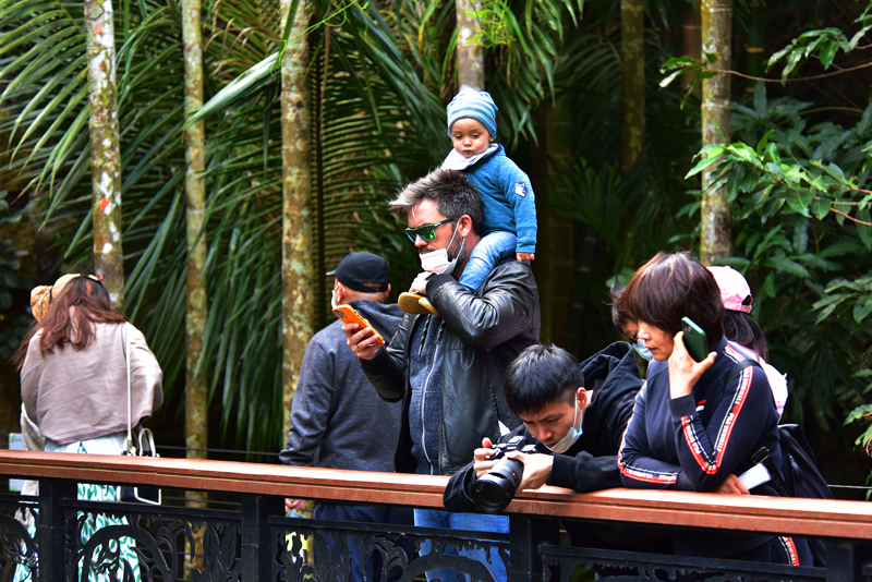 微信圖片_20210102114729