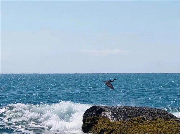 微信圖片_20210307113113 微信圖片_20210307113113