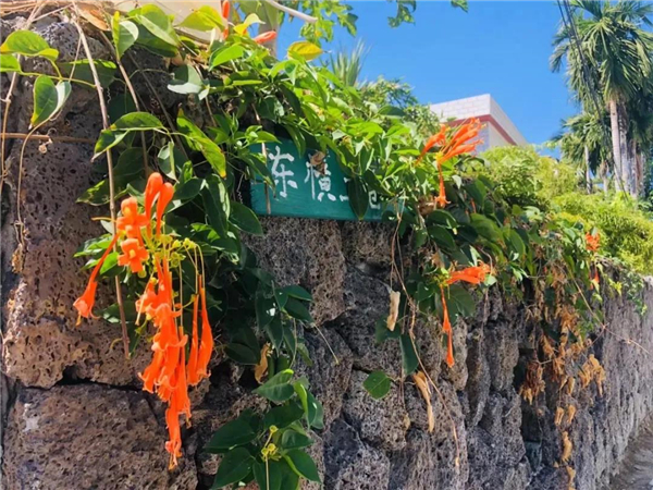 微信圖片_20210307113125 微信圖片_20210307113125