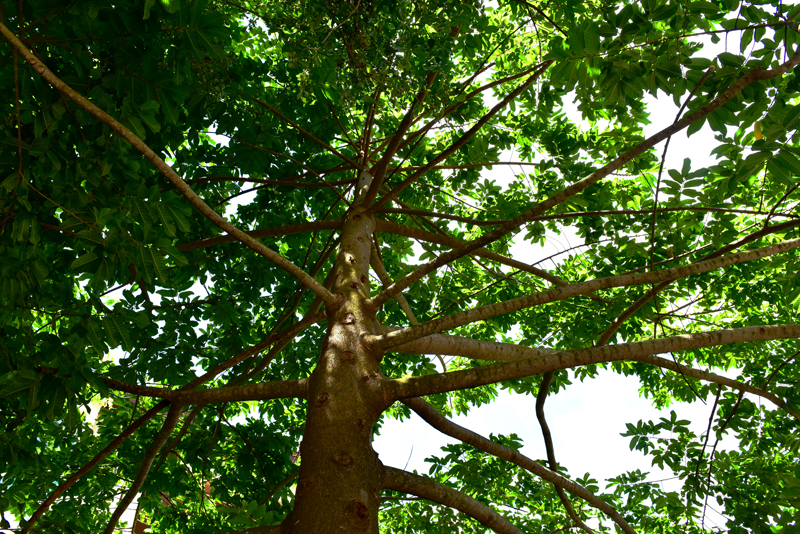 微信圖片_20210412150041