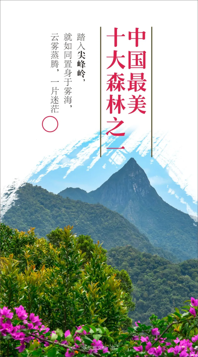 0CC2E2827373975F41319784B5BF77C7