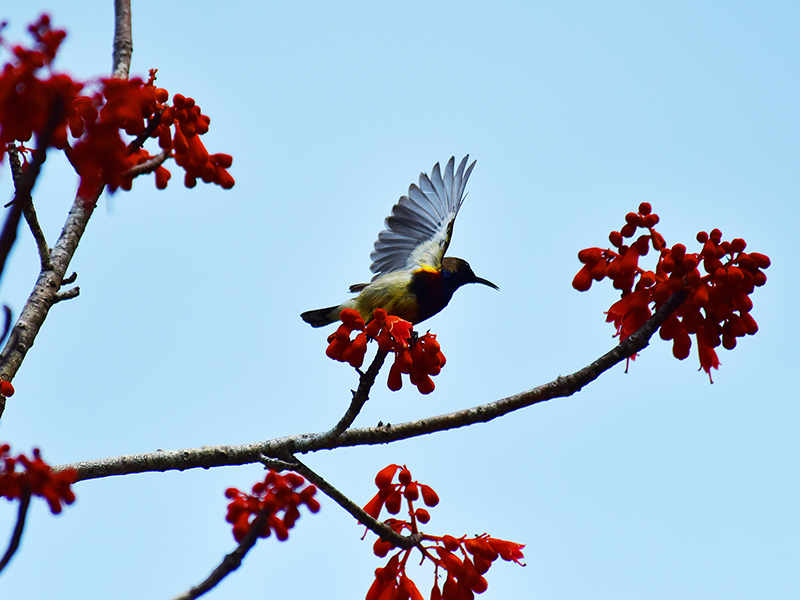 微信圖片_20210427112604