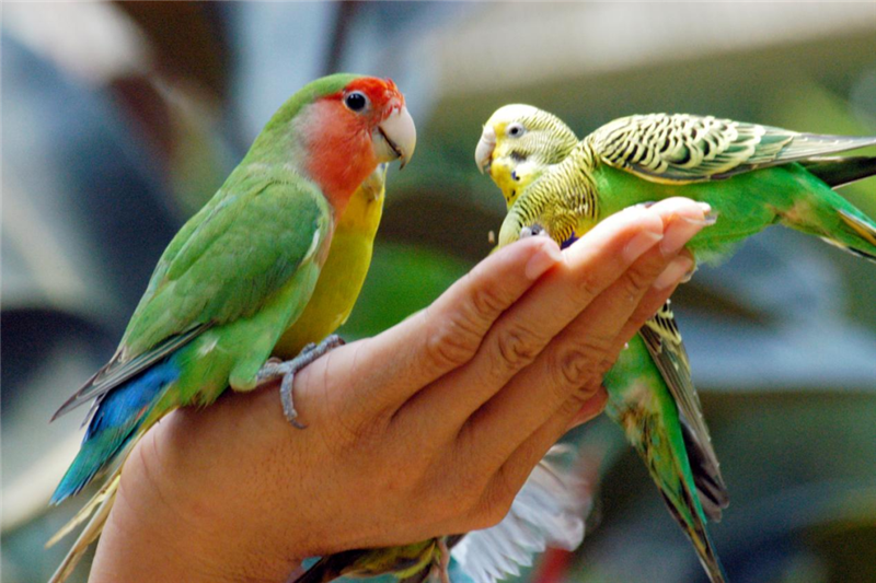 微信圖片_20210517094657 微信圖片_20210517094657