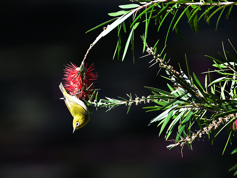 微信圖片_20220310173407