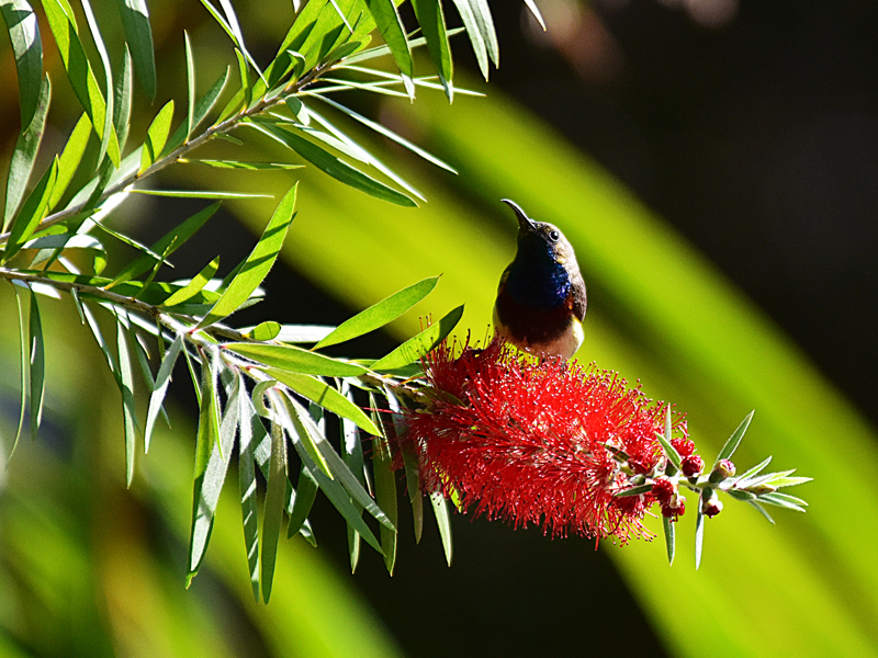 微信圖片_20220310173345