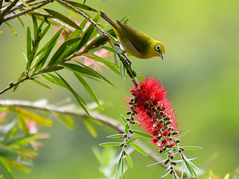 微信圖片_20220310173403