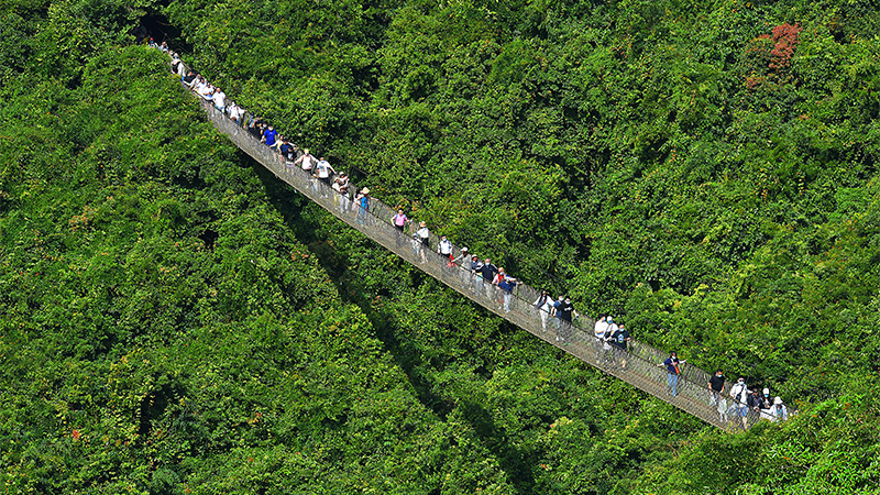 微信圖片_20220429152656 微信圖片_20220429152656