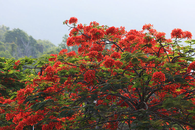 微信圖片_20220609150005