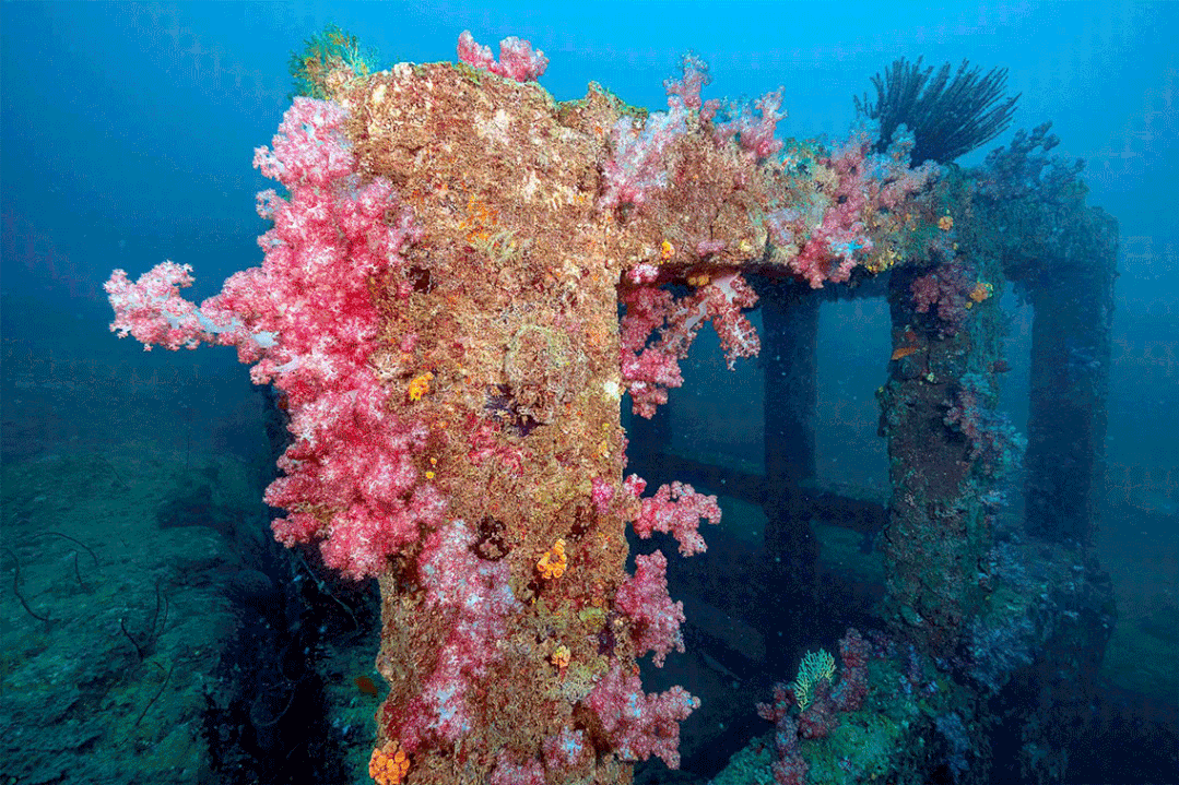 微信圖片_20221116195939