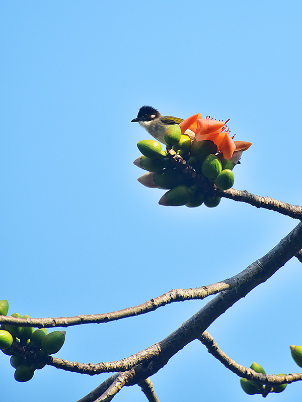 微信圖片_20230220153629 微信圖片_20230220153629