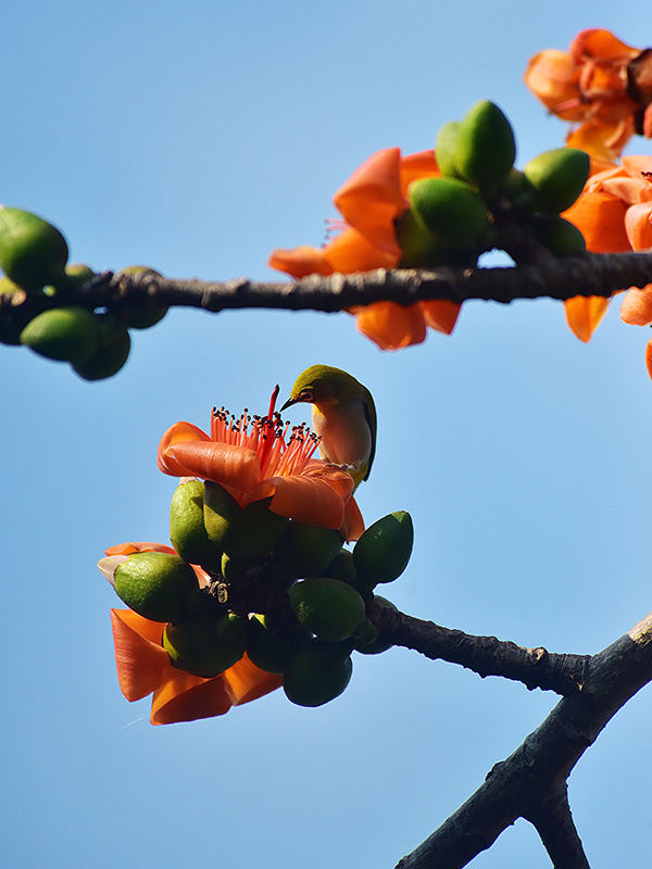 微信圖片_20230220153615 微信圖片_20230220153615