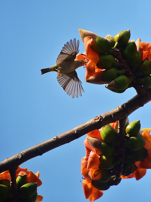 微信圖片_20230220153611 微信圖片_20230220153611