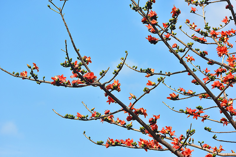 微信圖片_20230220153647 微信圖片_20230220153647