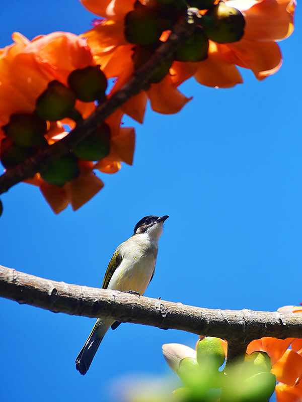 微信圖片_20230220153639 微信圖片_20230220153639