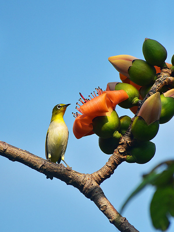 微信圖片_20230220153621 微信圖片_20230220153621