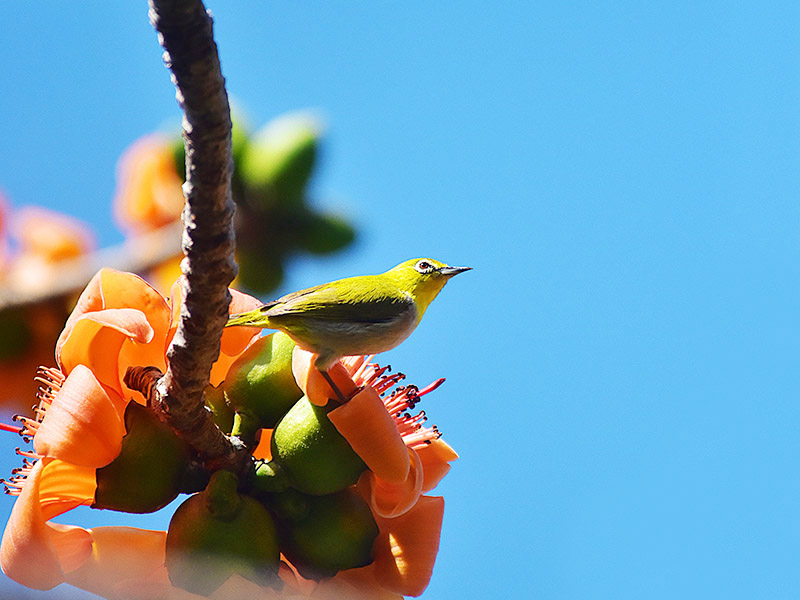 微信圖片_20230220153654 微信圖片_20230220153654