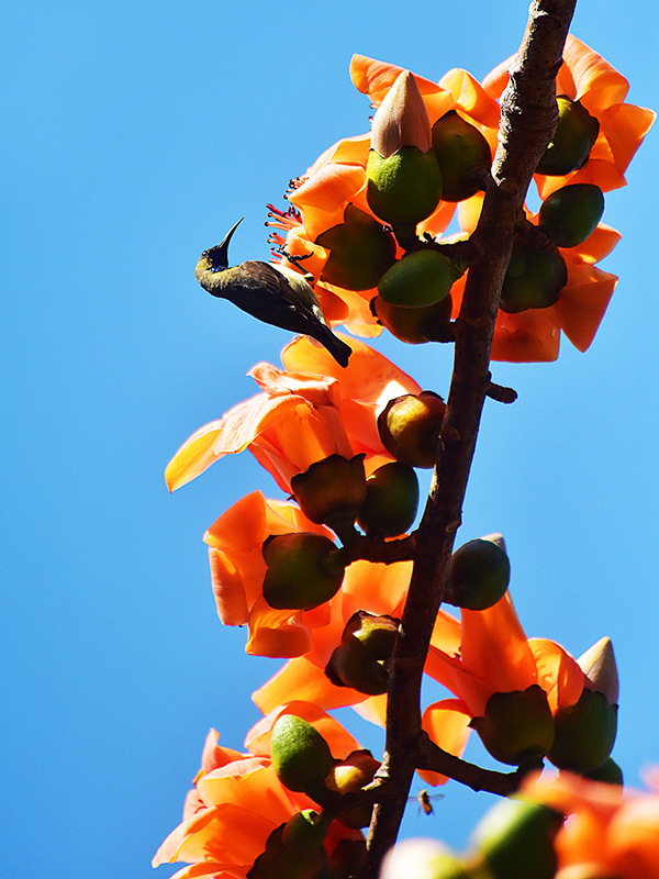 微信圖片_20230220153636