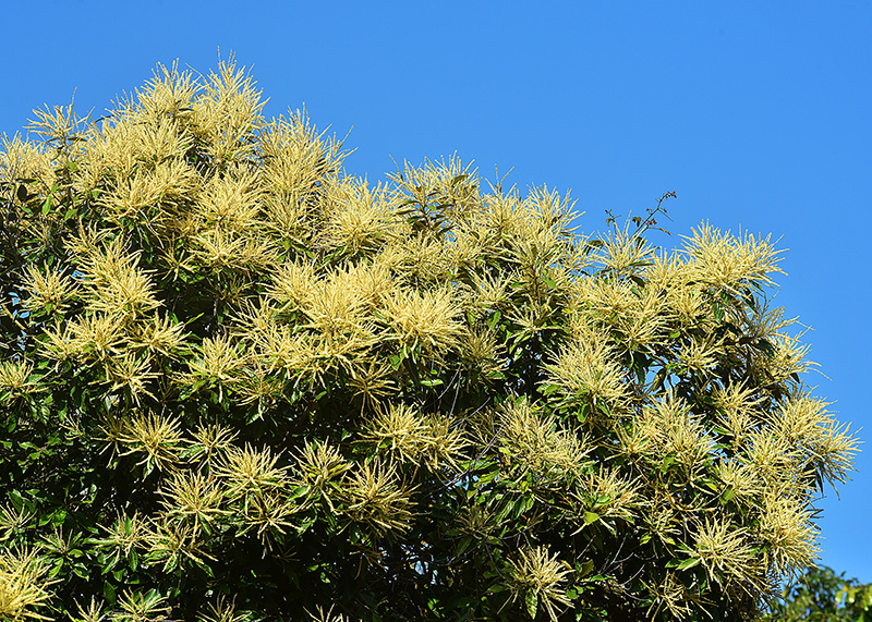 微信圖片_20230228191759