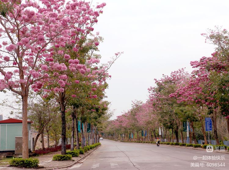 微信圖片_20230313091411 微信圖片_20230313091411