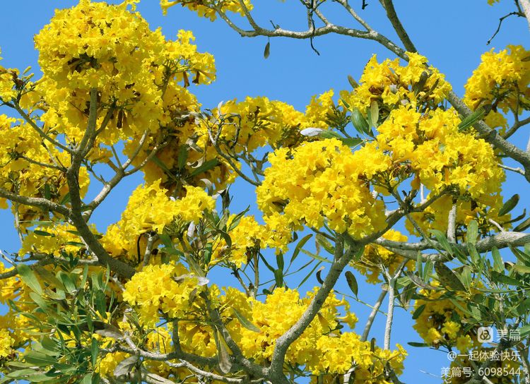 微信圖片_20230313091434 微信圖片_20230313091434