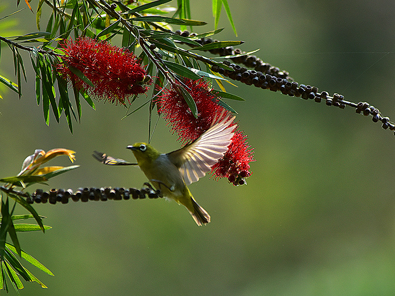 微信圖片_20230313094849