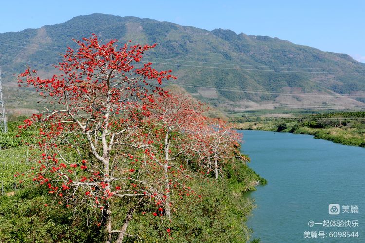 微信圖片_20230313091539 微信圖片_20230313091539