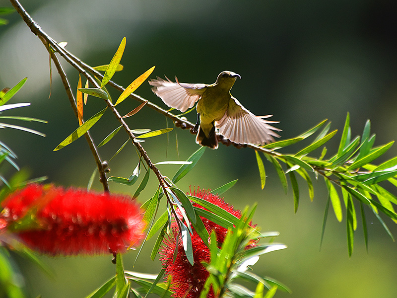 微信圖片_20230313094845