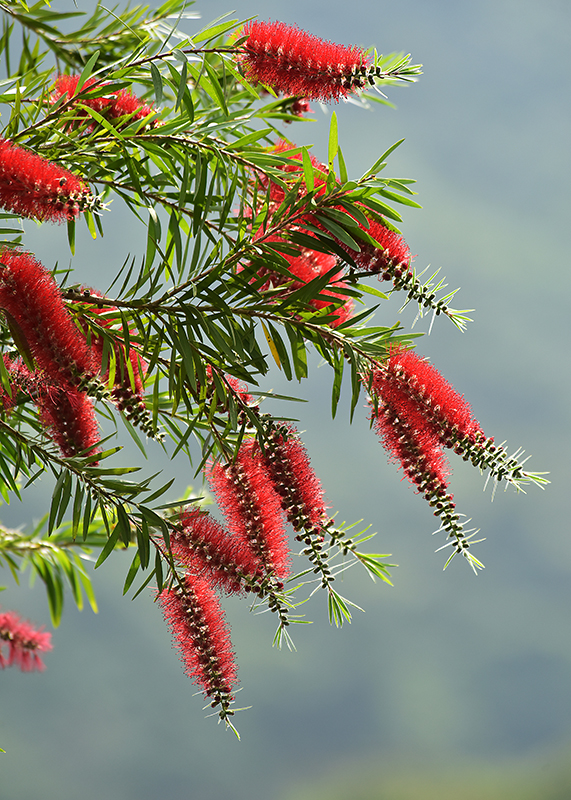 微信圖片_20230324182228