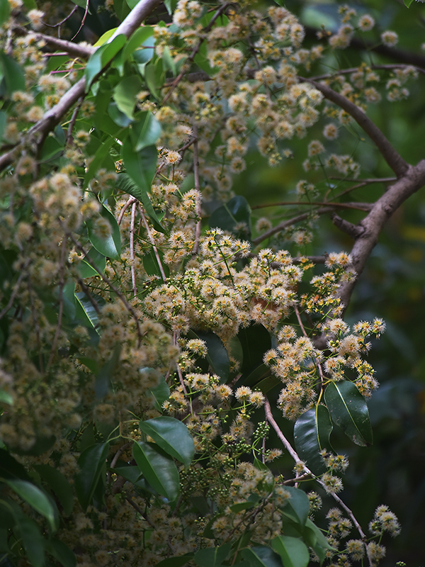 微信圖片_20230324182202