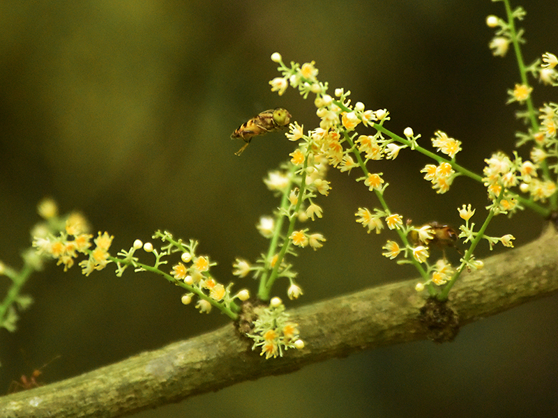 微信圖片_20230419165311