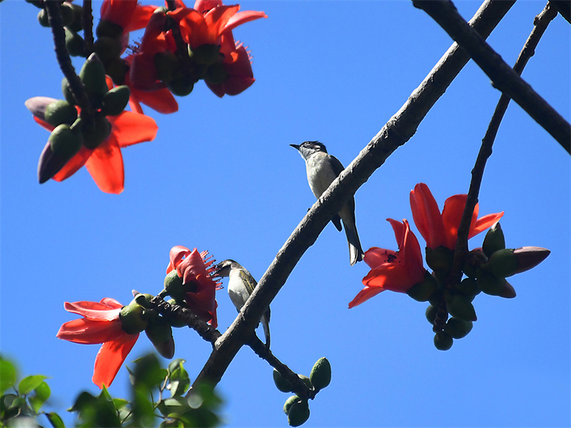 20240220171444_40932