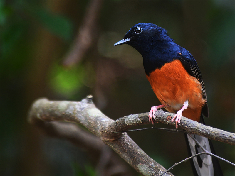 20240815165047_34303