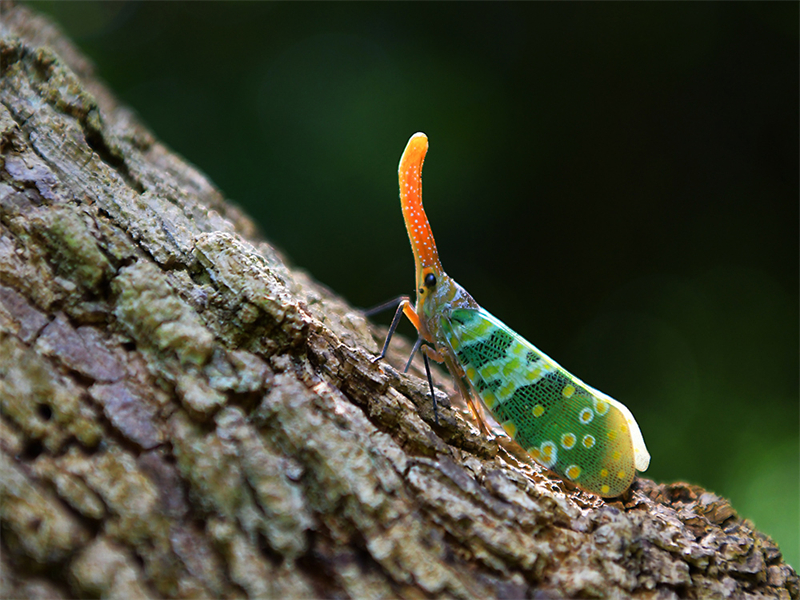 20240815164820_39165