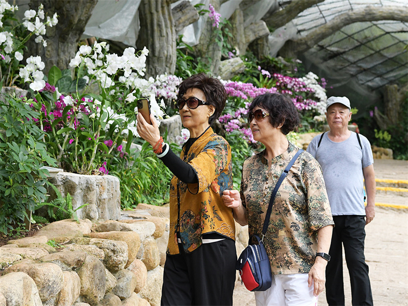 20241011170648_83970 20241011170648_83970