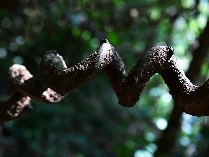 20241218221847_19509 20241218221847_19509