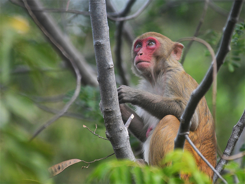 20241224160732_28326