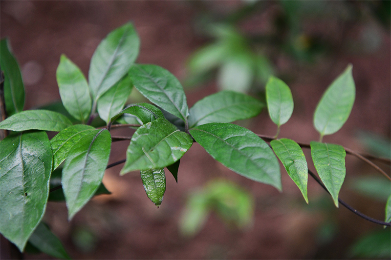 20241231165519_59505